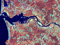aerial photo of river ecosystem