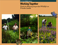 image of working together brochure cover