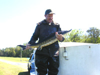 Photo of a man holding a  gulf sturgeon.