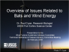 Bats and Wind Energy