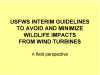 U.S. Fish and Wildlife Service Interim Guidelines to Avoid and Minimize Wildlife Impacts