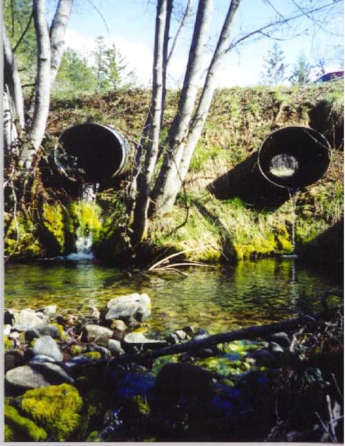 Before photo of Little Brown's Creek in California show the dramatic improvements to fish passage possible with the help of the National Fish Passage program. Credit: Christine Jordan, Five Counties Salmonid Conservation Program