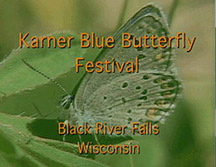 Karner Blue Butterfly with over laping caption that reads,  Karner Blue Butterfly Festival Black River Falls Wisconsin, credit USFWS
