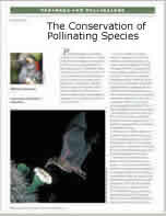 thumbnail image of Endangered species bulletin article on pollinators