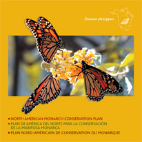 thumnail image of conservation plan cover.
