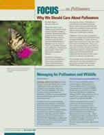 thumbnail image of publication