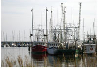 A photo of three fishing boats tied together in a harbor.