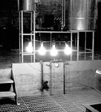 These four light bulbs sprang to life Dec. 20, 1951, when EBR-1 produced the world's first usable amount of atomic electricity.