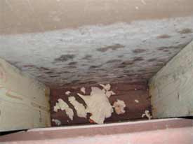 Photo showing mold growth behind a wall