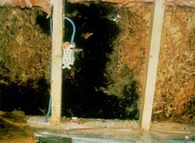 Photo showing mold growth behind a wall