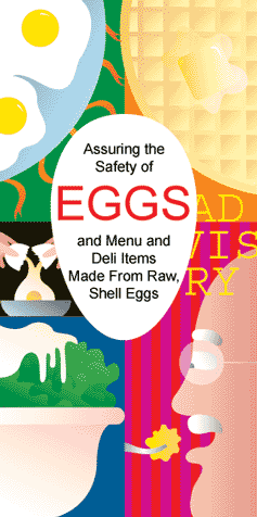 collage of egg-containing foods