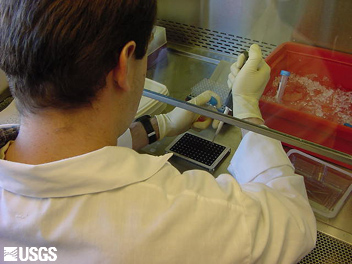 Scientist with toolbox of immunological assays