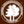 National Association of State Foresters - New browser window
