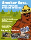 Smokey Bear Kids' Poster