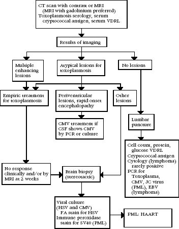 Figure 4-11: Advanced HIV Infection Plus Altered Status, New Seizures, Headace (Severe or Persistent), or Focal Neurologic Deficits. Flow diagram with “CT scan with contrast or MRI (MRI with gadolinium preferred), Toxoplasmosis serology, serum cryptococcal antigen, serum VDRL” then moves to “Results of imaging” with three paths indicated. Left path starts with “Multiple enhancing lesions” then “Empiric treatment for toxoplasmosis” leading to “No response clinically and/or by MRI at 2 weeks” then “Brain biopsy (sterotactic)” then “Viral culture (HSV and CMV), FA stain for HSV, Immune peroxidase stain for SV 40 (PML), then “PML: HAART” (algorithm endpoint). Center path begins with “Atypical lesions for toxoplasmosis” then has three branches. Left branch joins Left path at “Empiric treatment for toxoplasmosis.” Center branch starts with “Periventricular lesions, rapid onset encephalopathy” then “CMV treatment if CSF shows CMV by PCR or by culture” (algorithm endpoint). Right branch begins with “Other lesions” then jumps down to join Left path at “Brain biopsy (sterotactic).” Returning to “Results of imaging,” third Right path leads to “No lesions” then “Lumbar puncture” then “Cell count, protein glucose VDRL, Cryptococcal antigen, Cytology (lymphoma) rarely positive, PCR for Toxoplasma, CMV, JC virus (PML), EBV (lymphoma)” (algorithm endpoint).