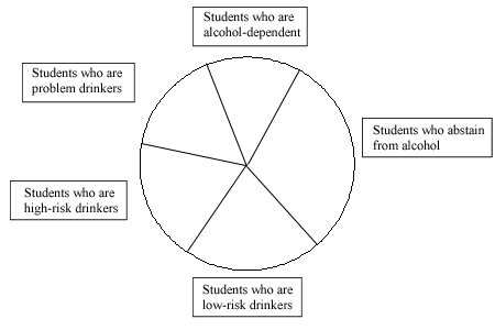 Pie chart diagramming different types of student drinkers