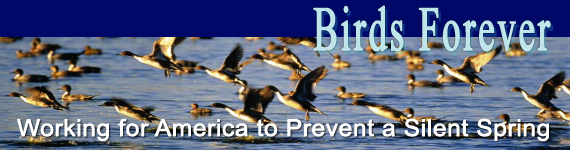 Birds Forever Initiative - Working with America to Prevent a Silent Spring 