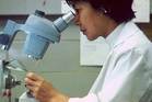 Photo of a scientist using a microscope. - Click to enlarge in new window.