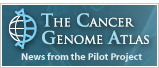 The Cancer Genome Atlas: News from the Pilot Project