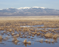 Photo of Alamosamonte Vista NWR., Credit USFWS