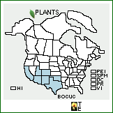 Distribution of Bouteloua curtipendula (Michx.) Torr. var. caespitosa Gould & Kapadia. . 