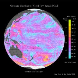 Typhoon Olga - Atlantic