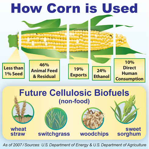How corn is used