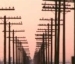 image of telephone poles
