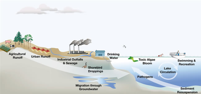 Illustration of various factors contributing to 
			Great Lakes water quality and human health
