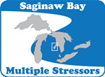 Multi-stressors logo