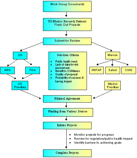 Flow chart that details each step of the proposed project review process.