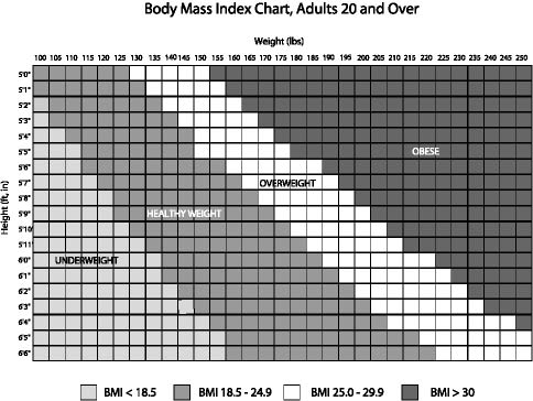 Body Mass Index Chart, Adults 20 and Over image