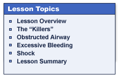 Lesson Topics

Lesson Overview
The "Killers"
Obstructed Airway
Excessive Bleeding 
Shock
Lesson Summary