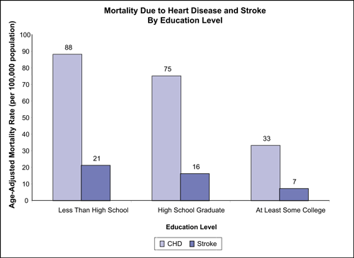Figure 30 compares mortality due to heart disease and stroke by education level and shows that the age-adjusted mortality rate per 100,000 population is greater in individuals with less than a high school education for both coronary heart disease (88%) and stroke (21%) than in high school graduates (75% for coronary heart disease, 16% for stroke) and in individuals with at least some college (33% for coronary heart disease and 7% for stroke).