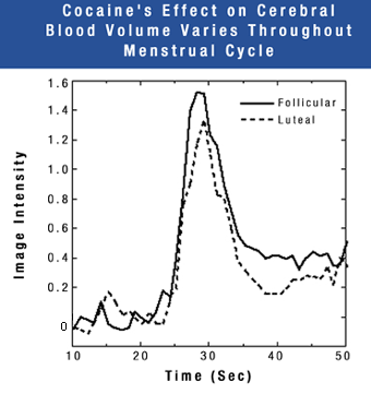 Cocaine's Effect on Cerebral Blood Volume Varies Throughout Menstrual Cycle