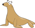 Steller Sea Lion