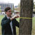 Urban Forest Health Monitoring