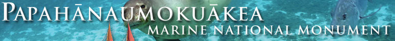 Hawaiian Cultural Heritage header graphic