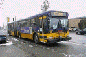 Photo of Metro bus