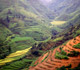 agricultural land in China