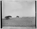  Camp at Kitty Hawk, North Carolina 