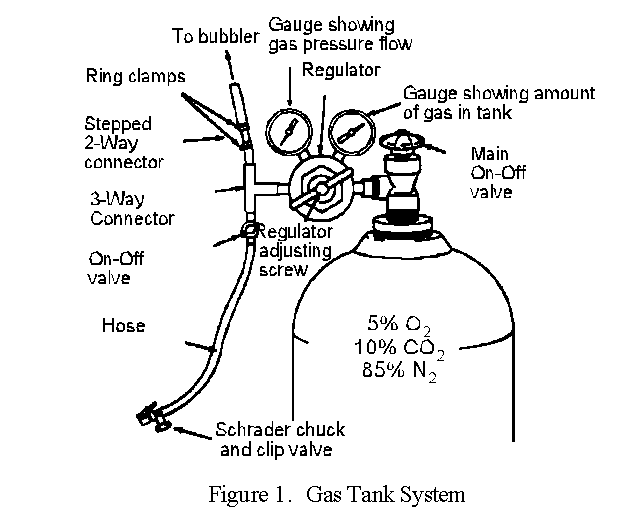 Image of Gas Tank assembly