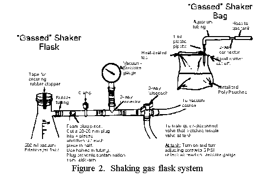 Image of alternative Shaker