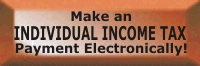 Make an INDIVIDUAL INCOME TAX payment electronically!