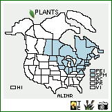 Distribution of Alnus incana (L.) Moench ssp. rugosa (Du Roi) R.T. Clausen. . Image Available. 