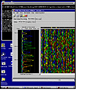 Image of a microarray on a computer screen