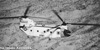 Piasecki's Flying Banana served as a forerunner to this Boeing-Vertol CH-47