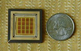 photograph of the microchip
