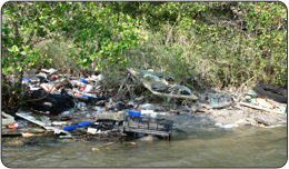 A Texas-sized mass of debris circulating in the Pacific Ocean threatens 267 species of birds and wildlife as well as U.S. estuaries, scientists estimate.