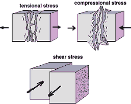 types of stress